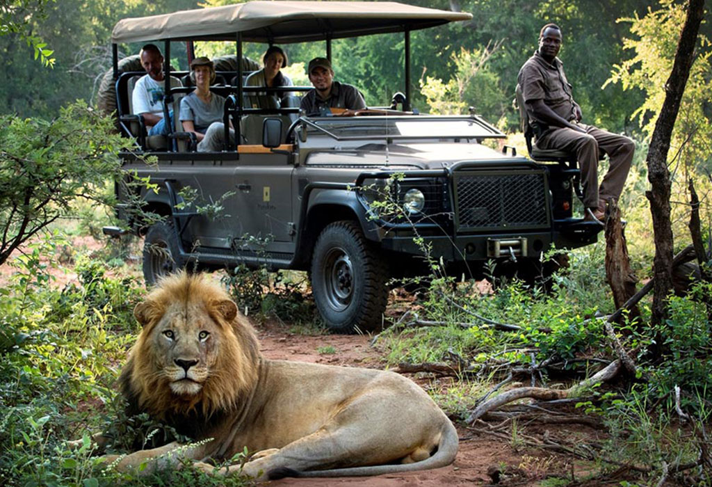 Do You Need to Tip Your Safari Guide?