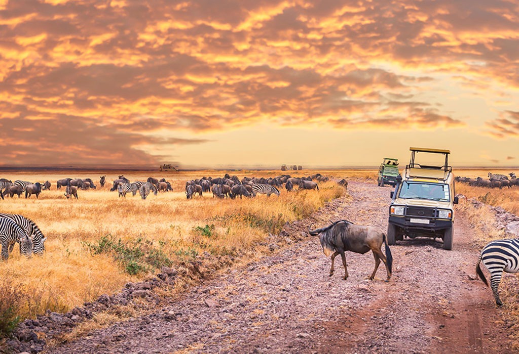 Things To Know Before Visiting Tanzania
