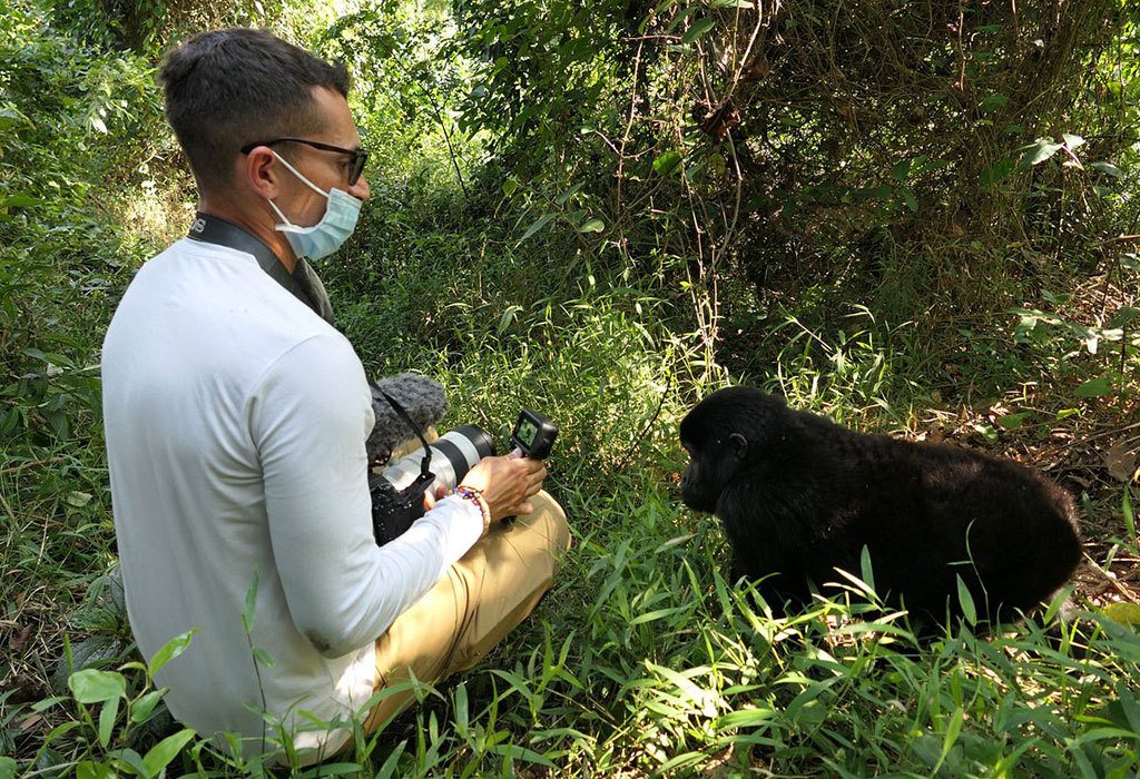 What is Included and Excluded in a Gorilla Habituation Permit?