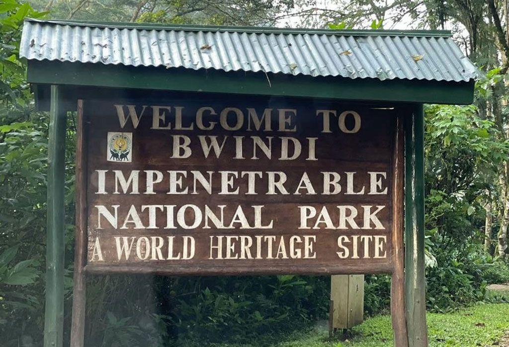 What is Bwindi Impenetrable National Park Famous For?