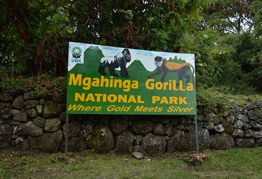 What Makes Mgahinga National Park Famous