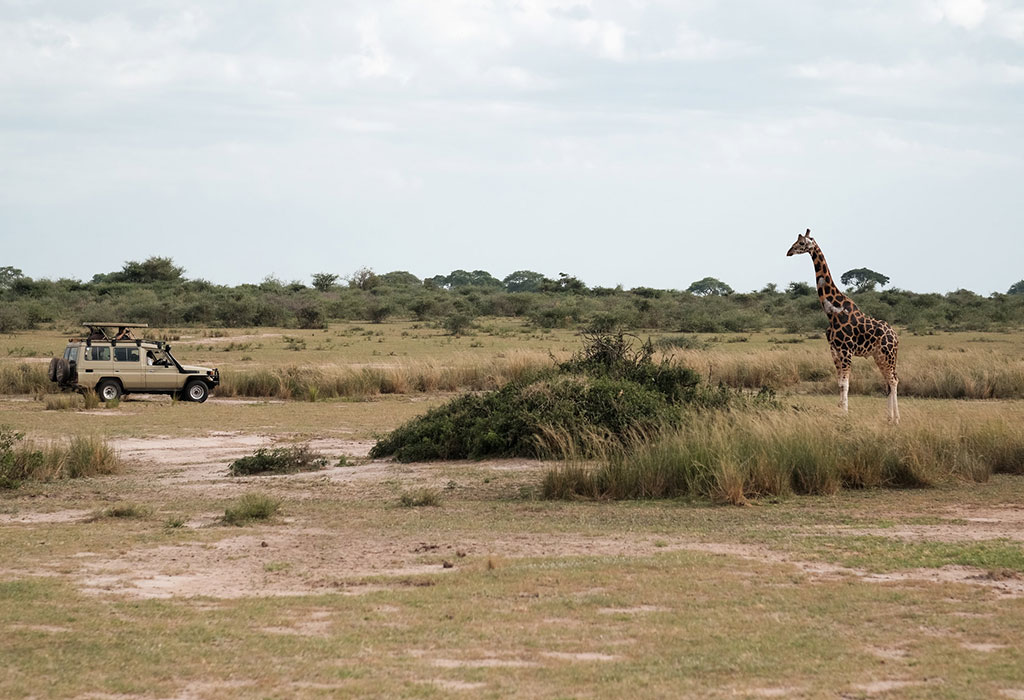 Can I Tour Uganda and Rwanda Using One Tour Operator
