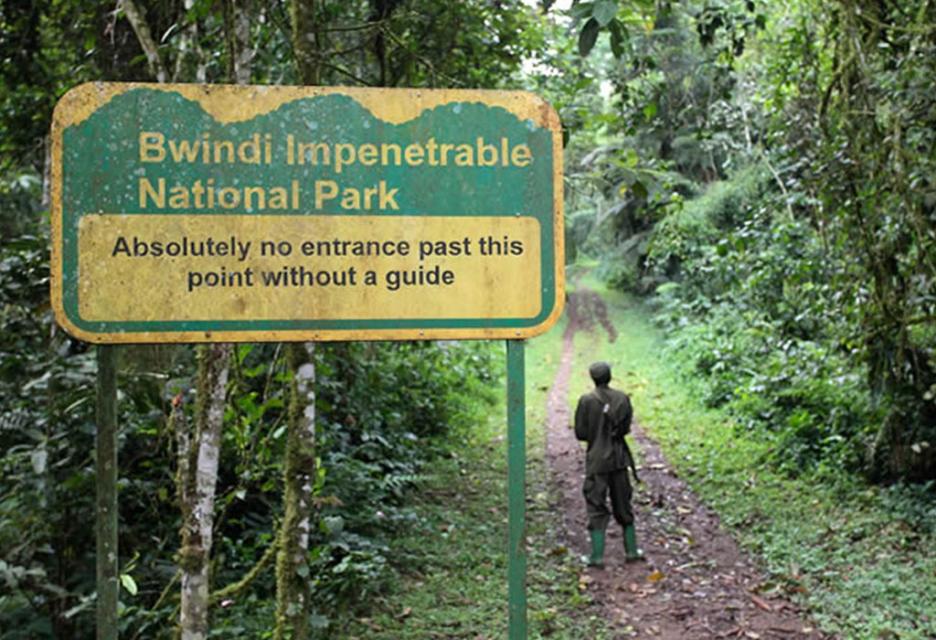 Is Bwindi Safe? 