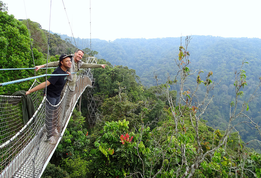 Top Things to Do in Nyungwe National Park