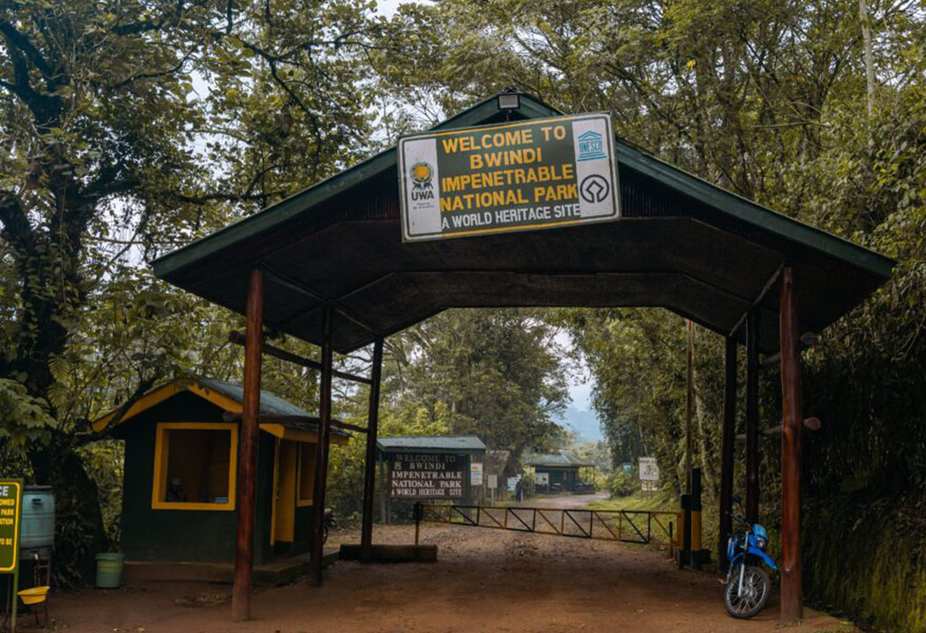 Why Bwindi Should Be On Your Bucket List?