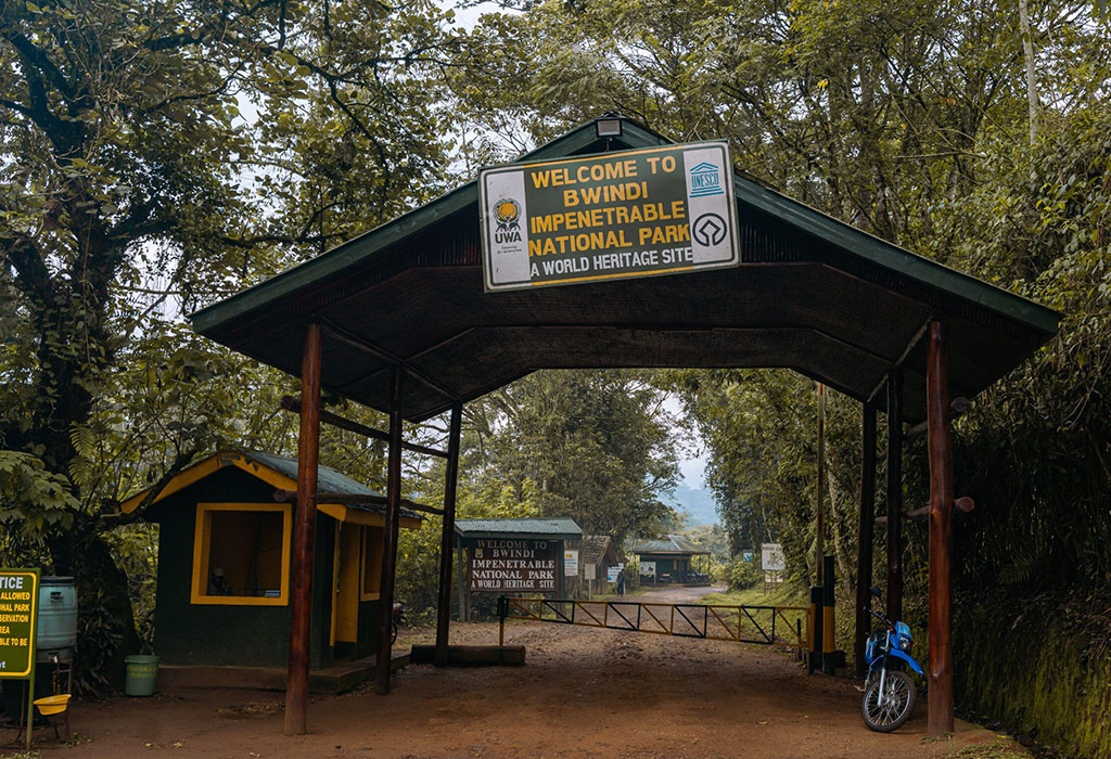 Kigali to Bwindi Driving Time