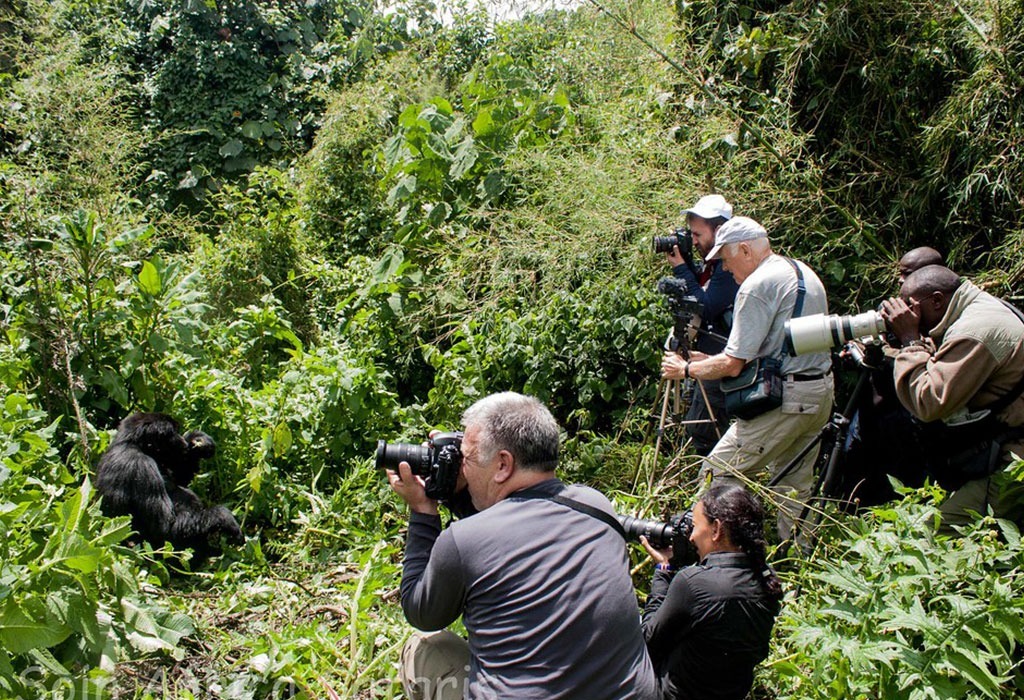 Short Trips to Do Before or After a Conference in Rwanda