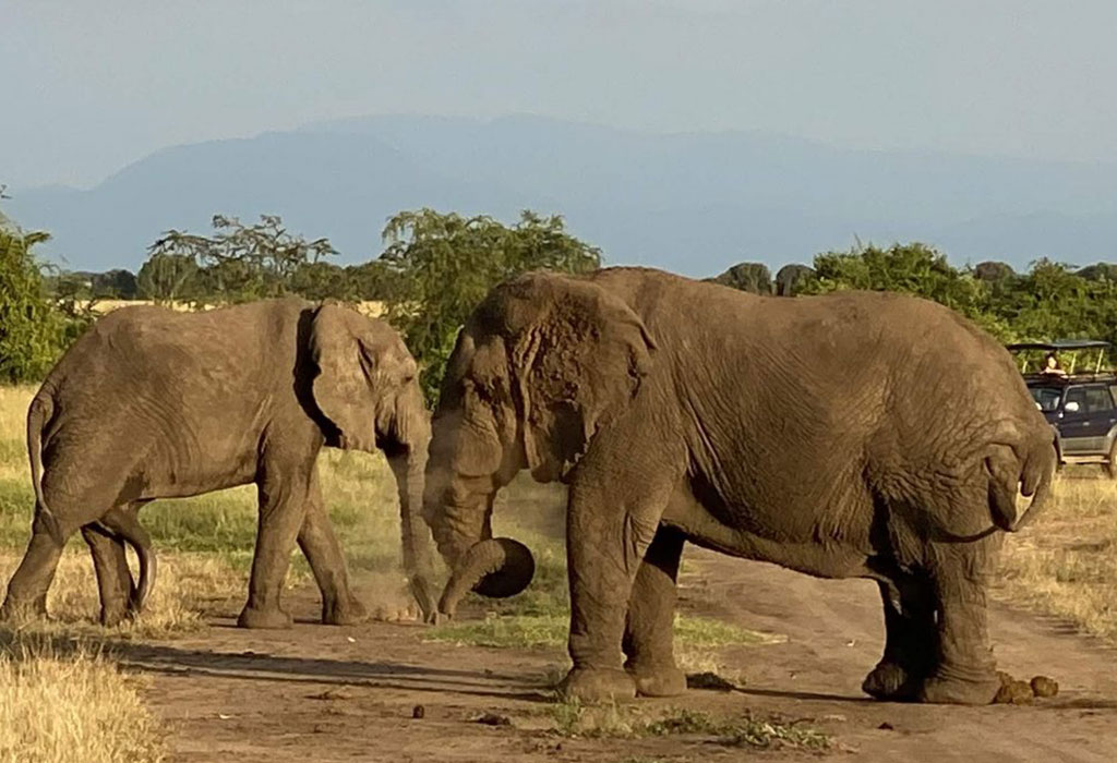 Day Trips from Kigali