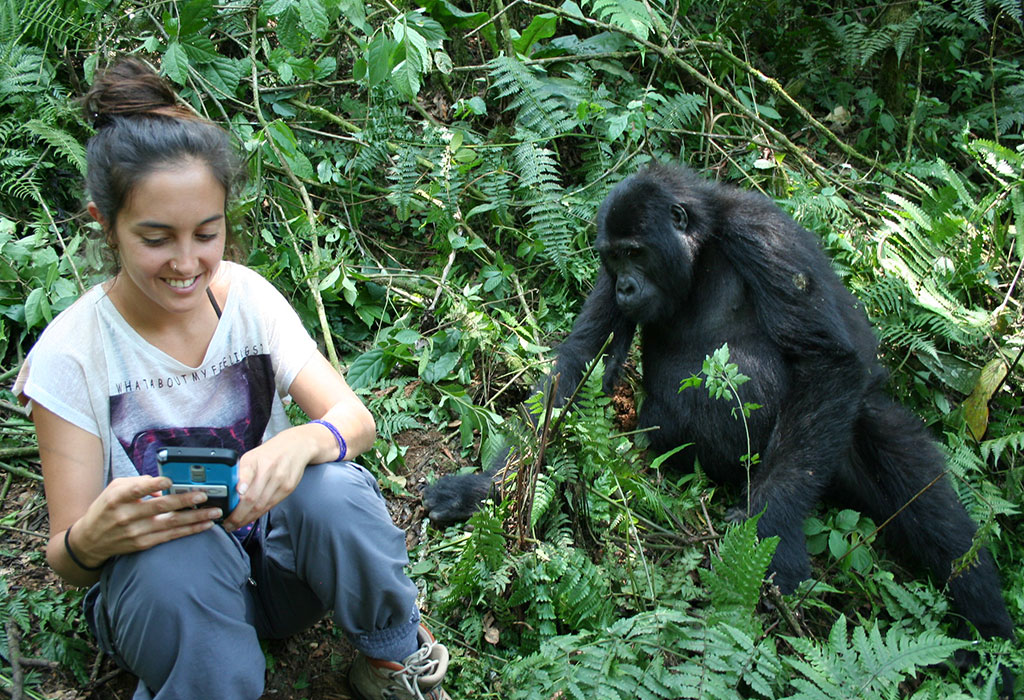 Is January a Good Month for Gorilla Trekking?