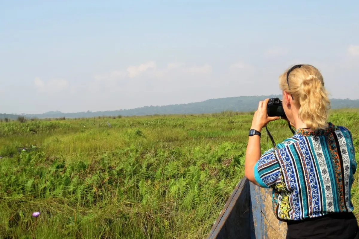 Bird Watching Safari