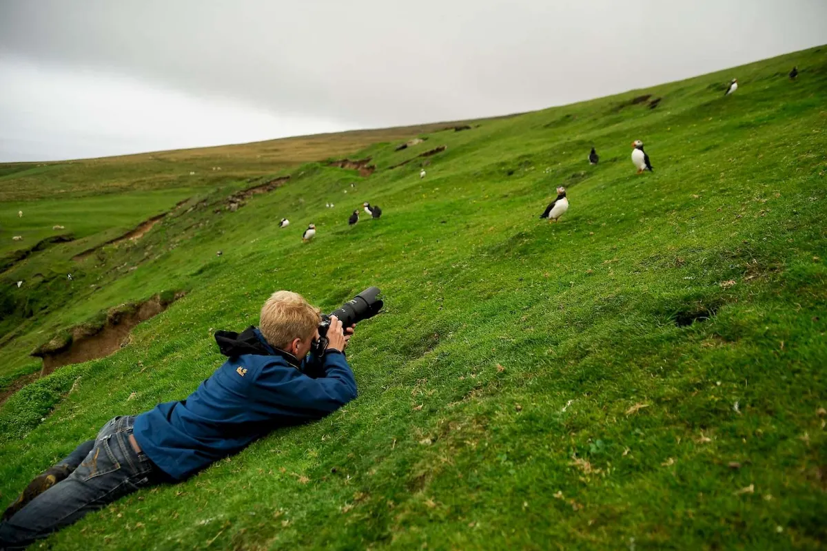 Bird Watching Safari