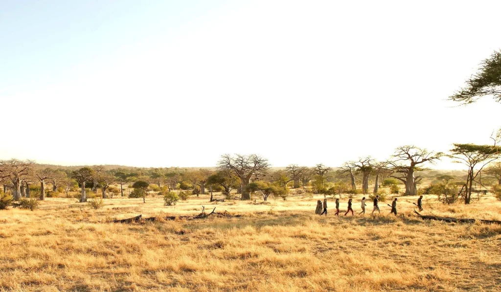 Bamingui-Bangoran protected landscape Central African Republic