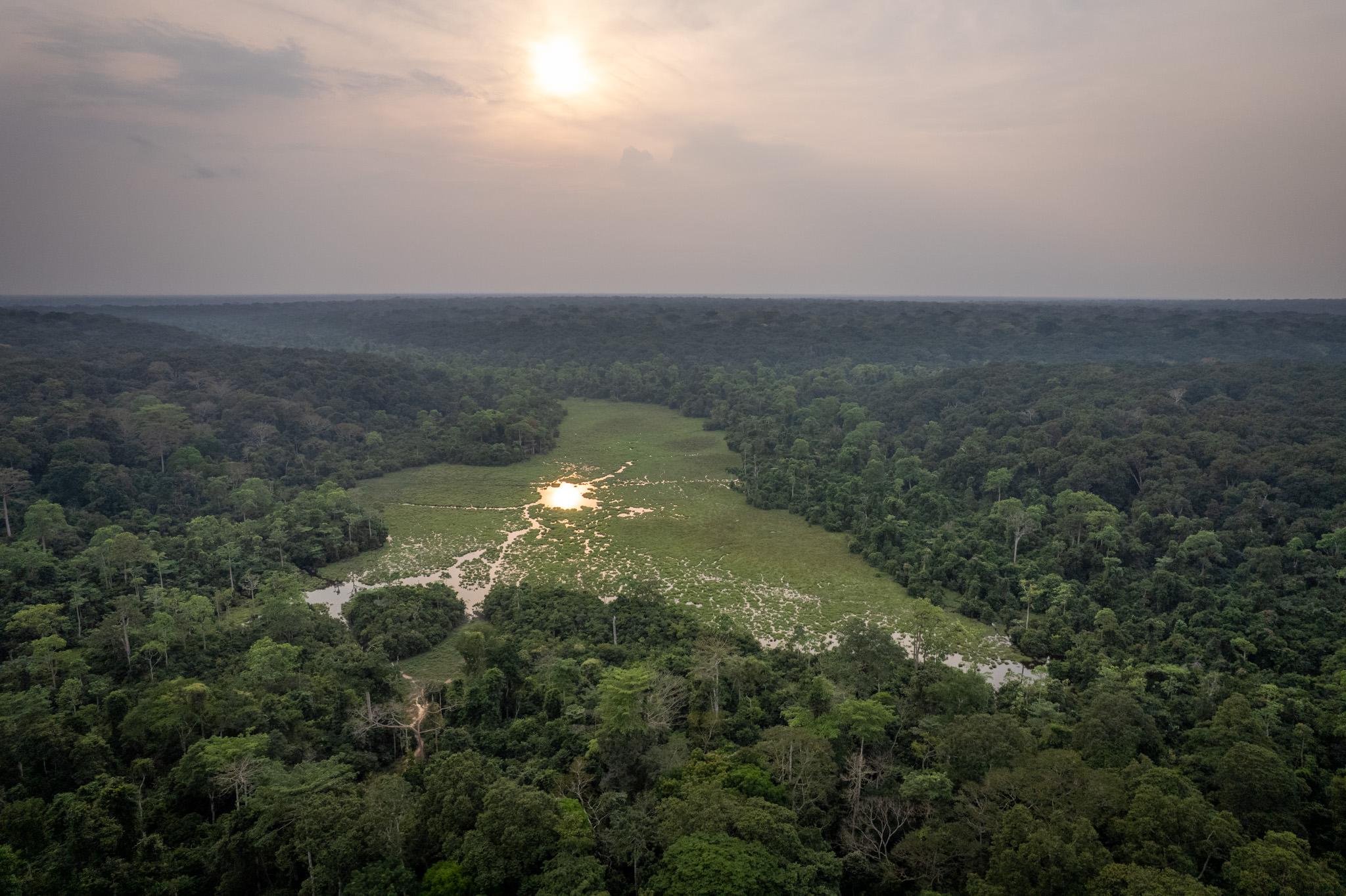Best time for a Congo Safari in the Congo Basin rainforest