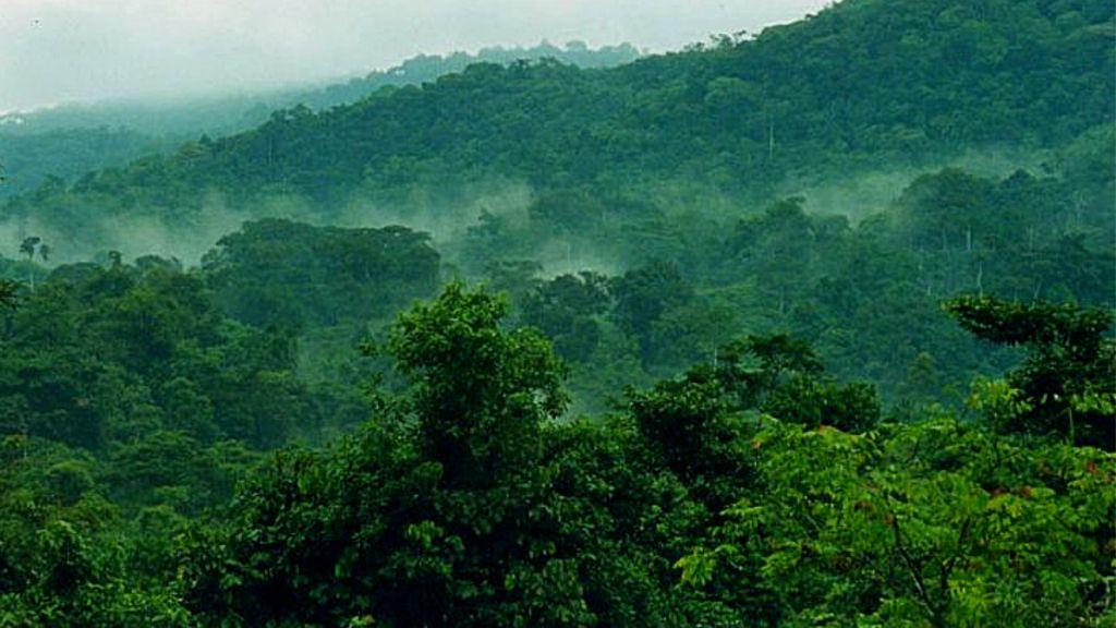 Rainy November weather in Bwindi Impenetrable National Park