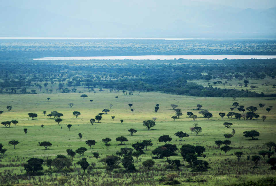 Climate and weather in Queen Elizabeth National Park during the dry season in Uganda