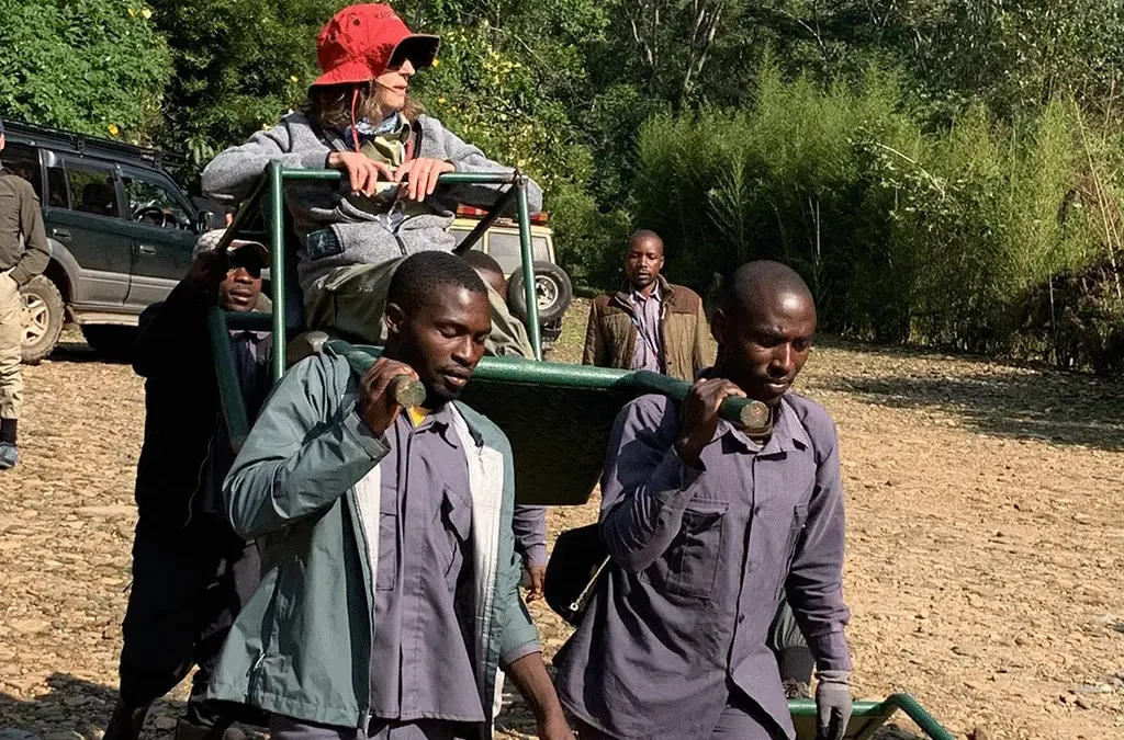 Porter assisting solo traveller during gorilla trekking