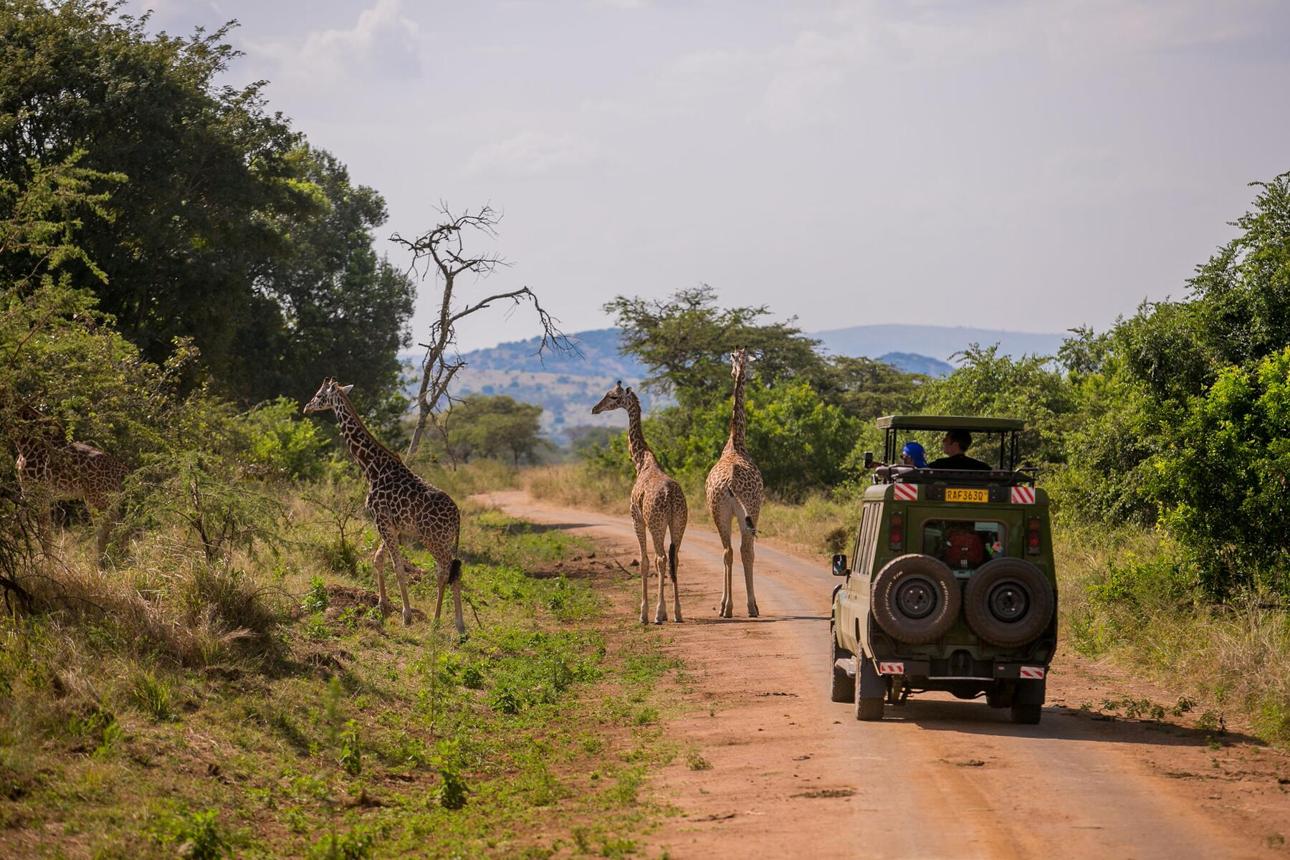 4x4 safari vehicle exploring Rwanda National Parks